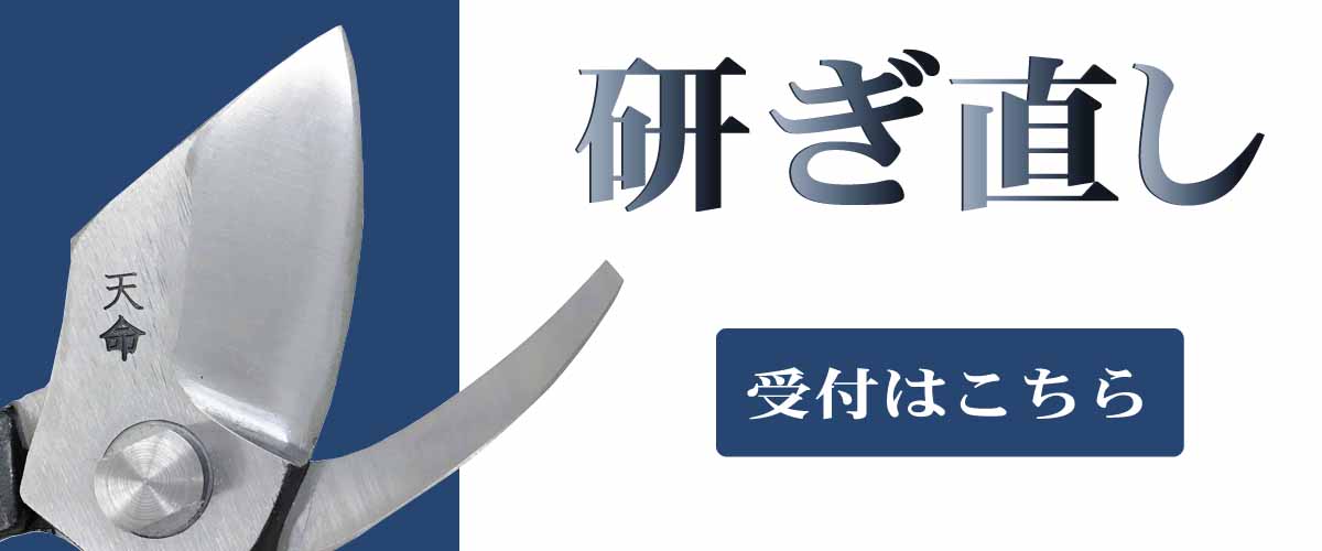 ナラの木 楢素材 折りたたみ式 鋸柄 275mmまで装着可能（ハナ 
